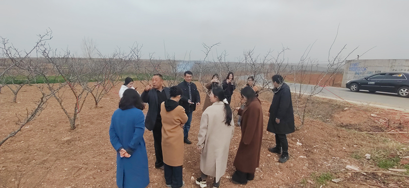 微信图片_20250313113236_副本