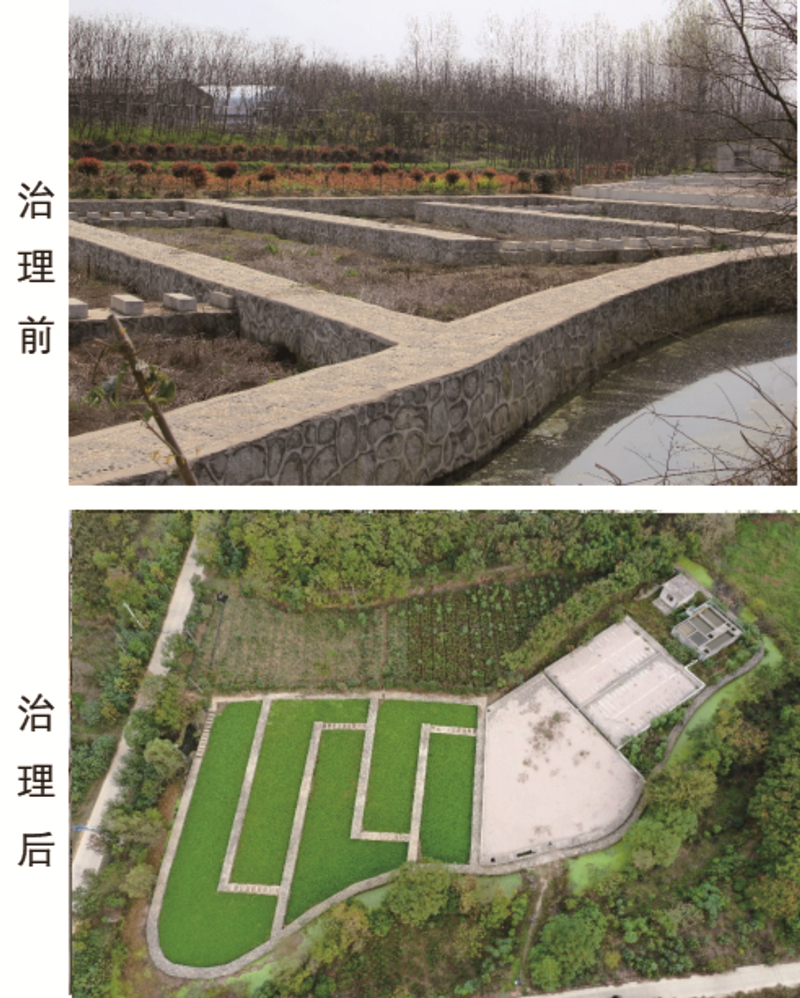 村镇污水生态治理及养猪废弃物资源化利用关键技术研发与示范_4_副本.jpg