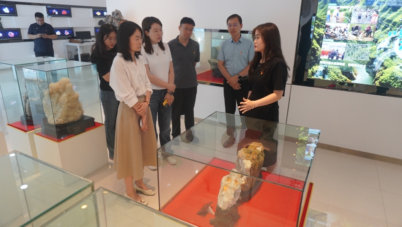 参观展厅_副本