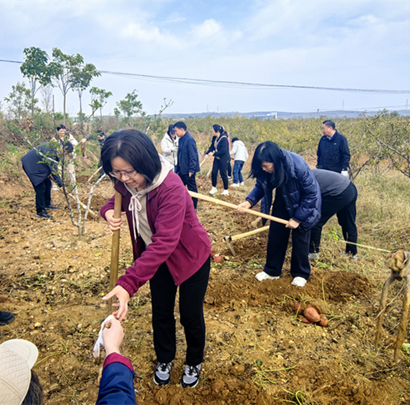 2_副本_副本 2_副本_副本